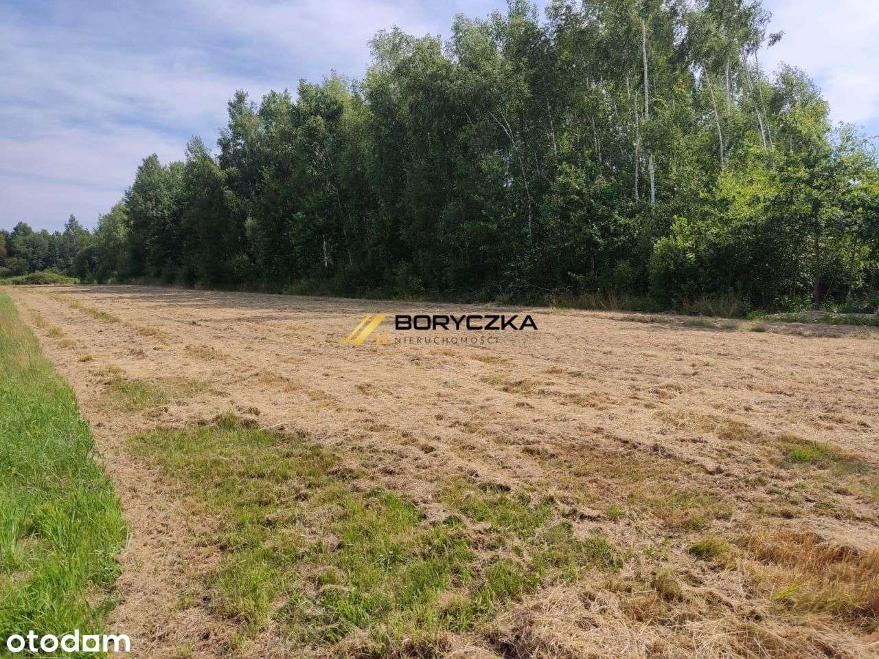 Działka z warunkami zabudowy! - Pełny obrazek: 4/5