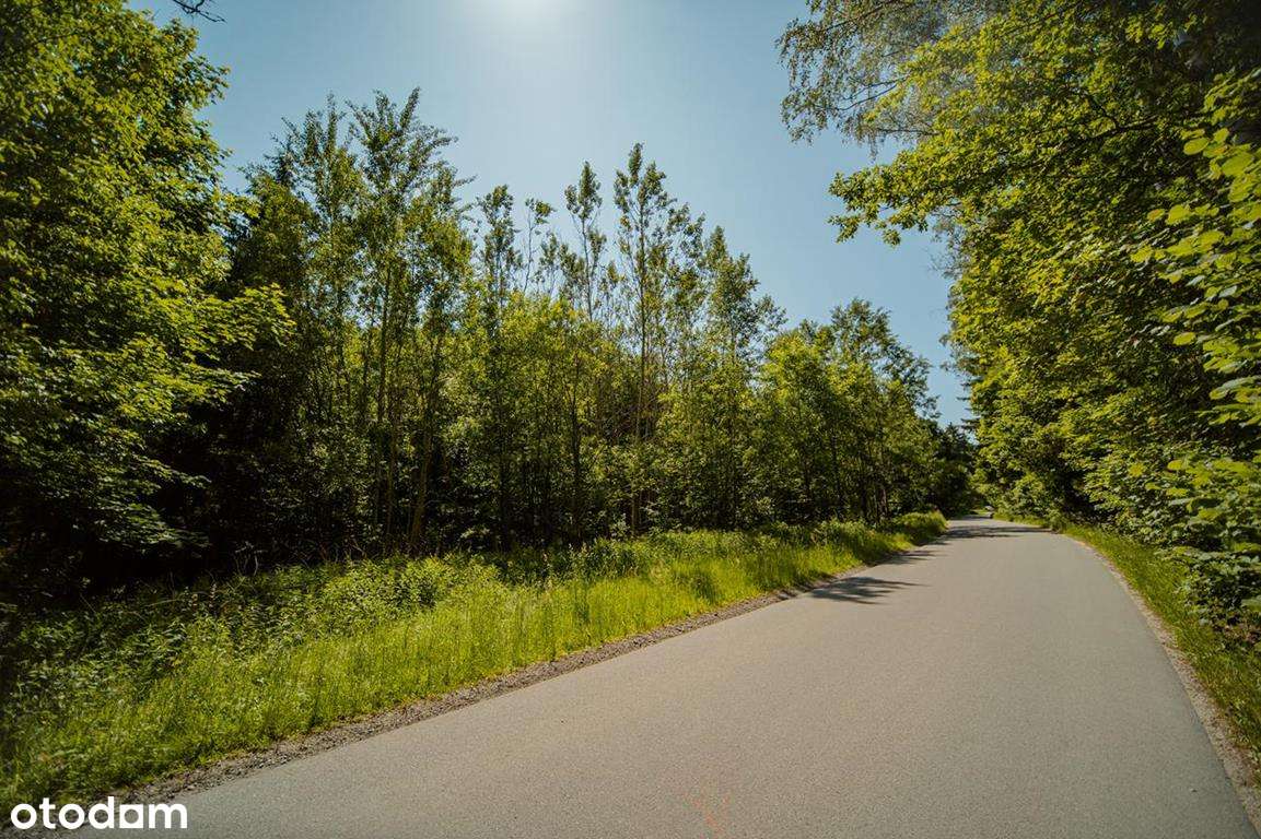Działka budowlana z linią brzegową górskiego potoku-9