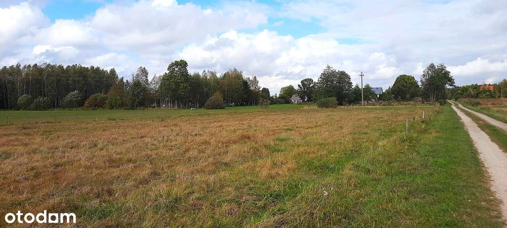 Działka 3001 m² – Ponikła | Spokojna okolica - Pełny obrazek: 5/5