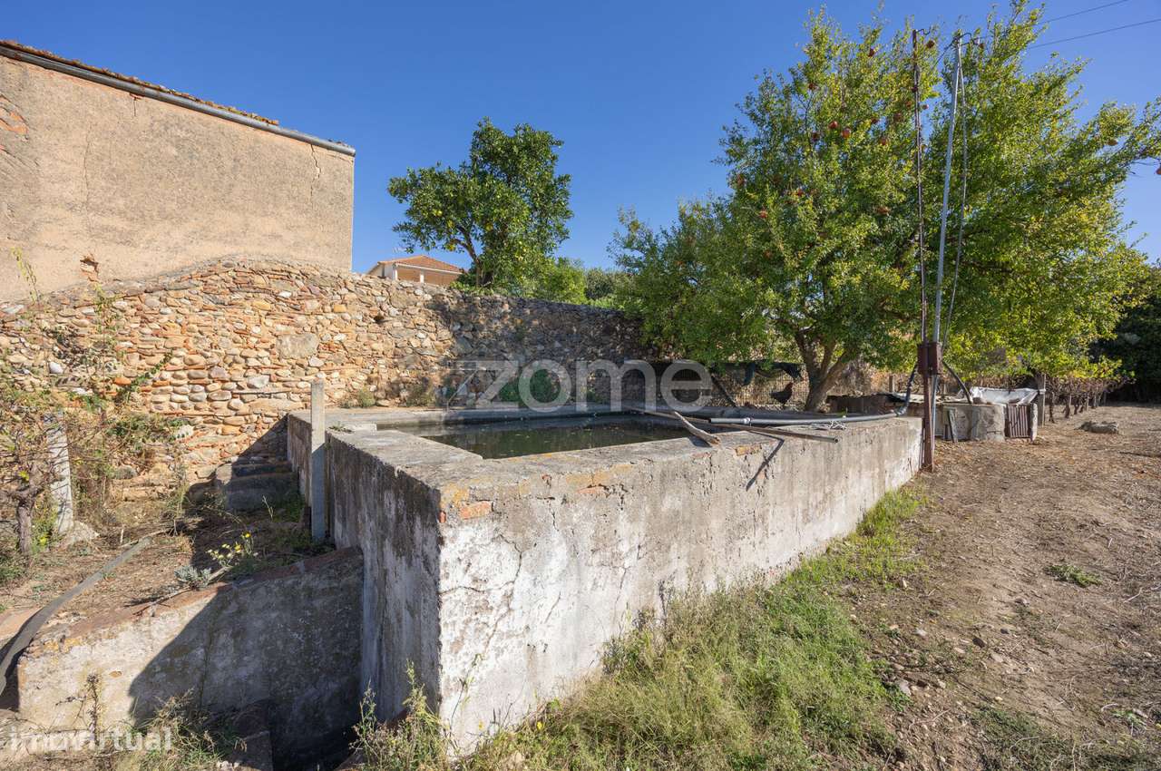 Lagar || Montalvo, Constância-14