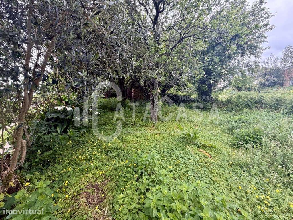 Moradia isolada T3 + terreno para venda em 12kms do centro de Águeda-13