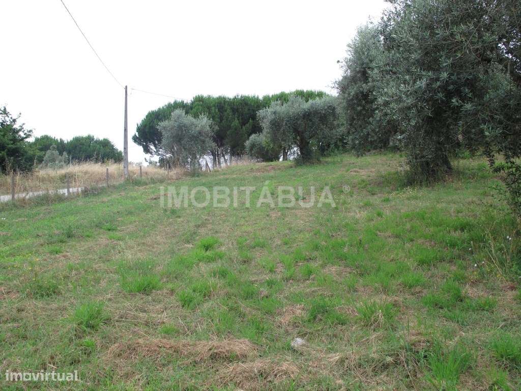 Moradia para recuperar-21