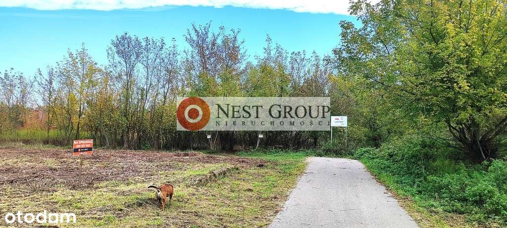 Grunt przy skarpie 1421m2 Suchocin gm. Jabłonna-7