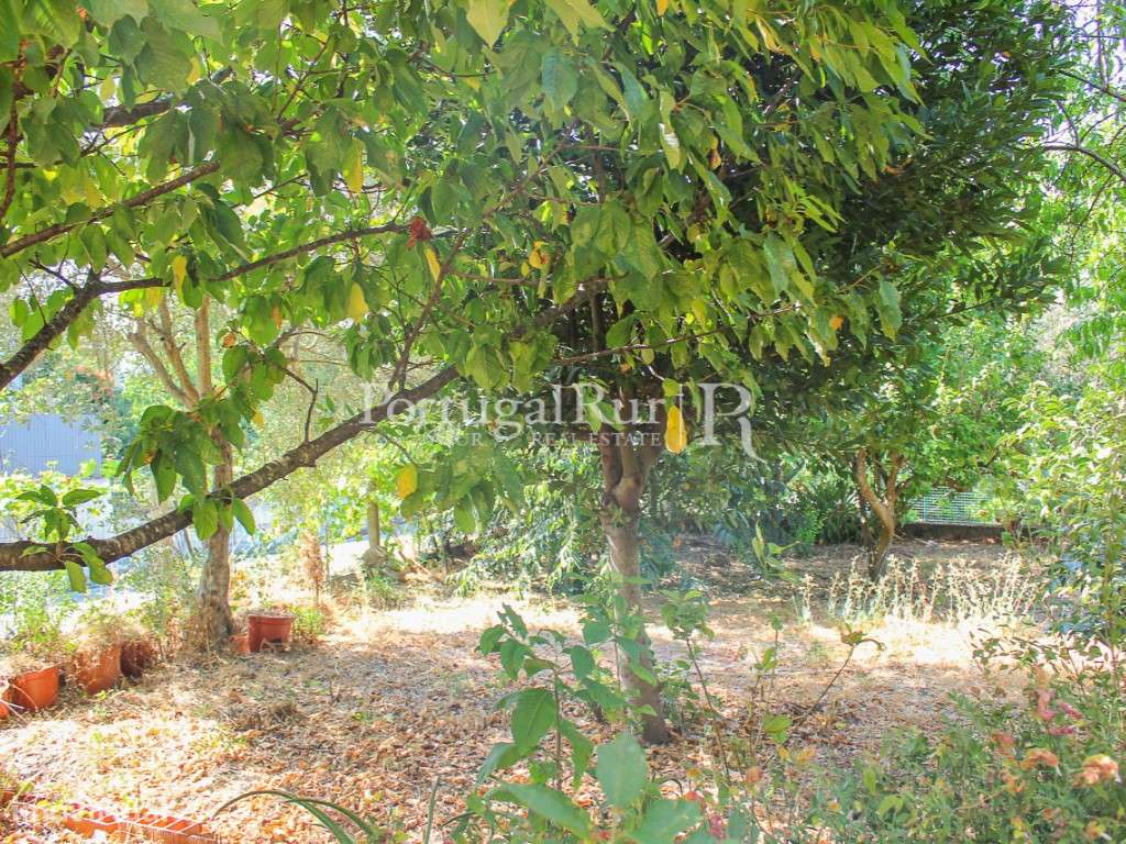 Moradia com Quintal na freguesia de Cardigos - Grande imagem: 4/48