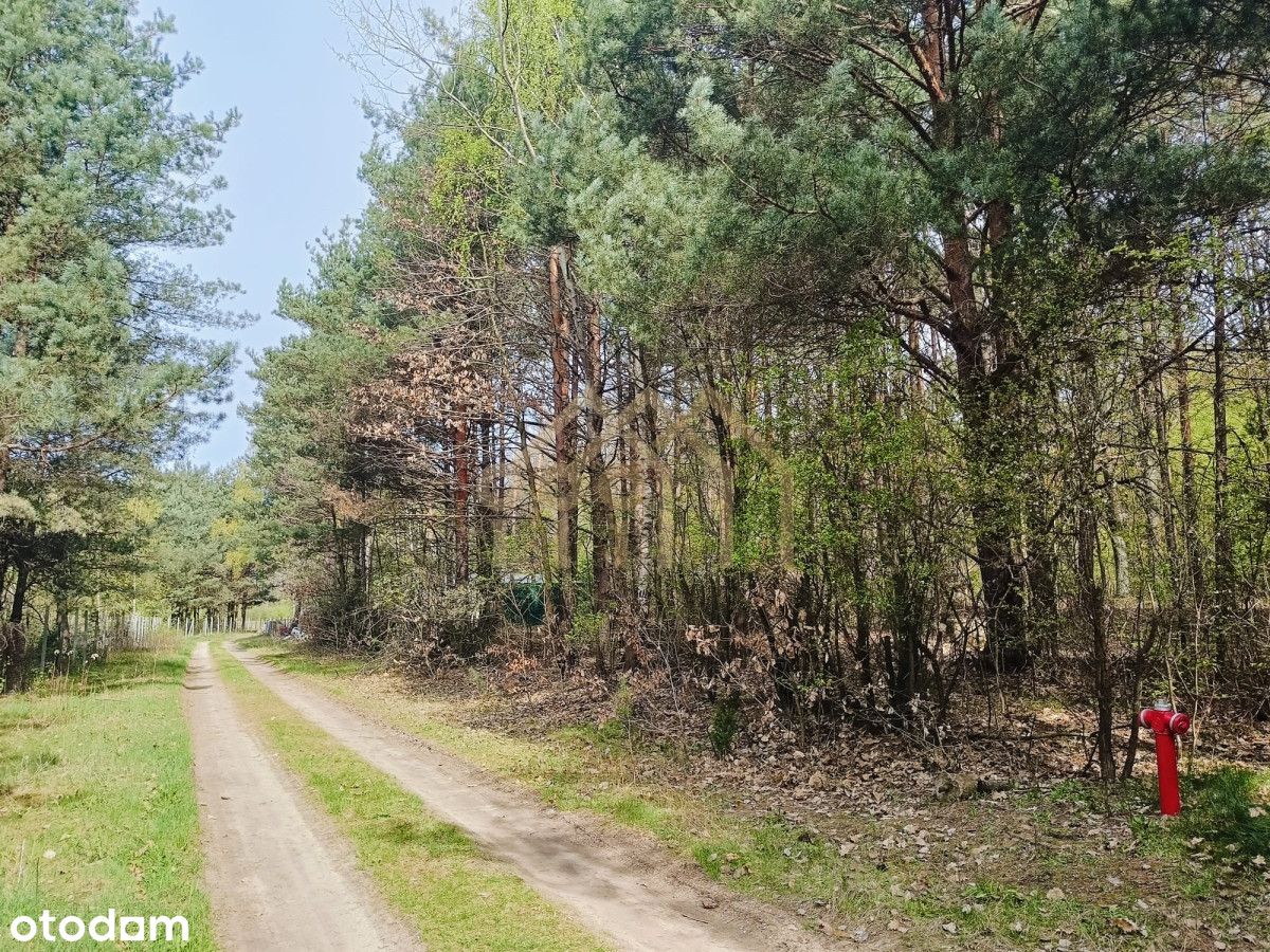 Działka budowlana I Ojrzanów | Uzbrojona w media