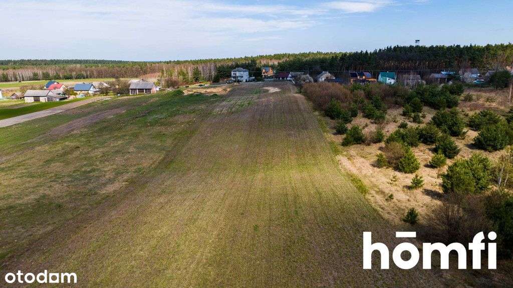 Pięknie położona działka budowlana przy Puszczy - Pełny obrazek: 4/8