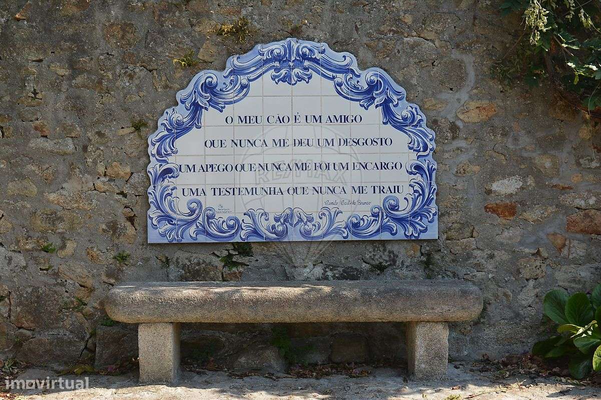 Quinta T5 para venda-35