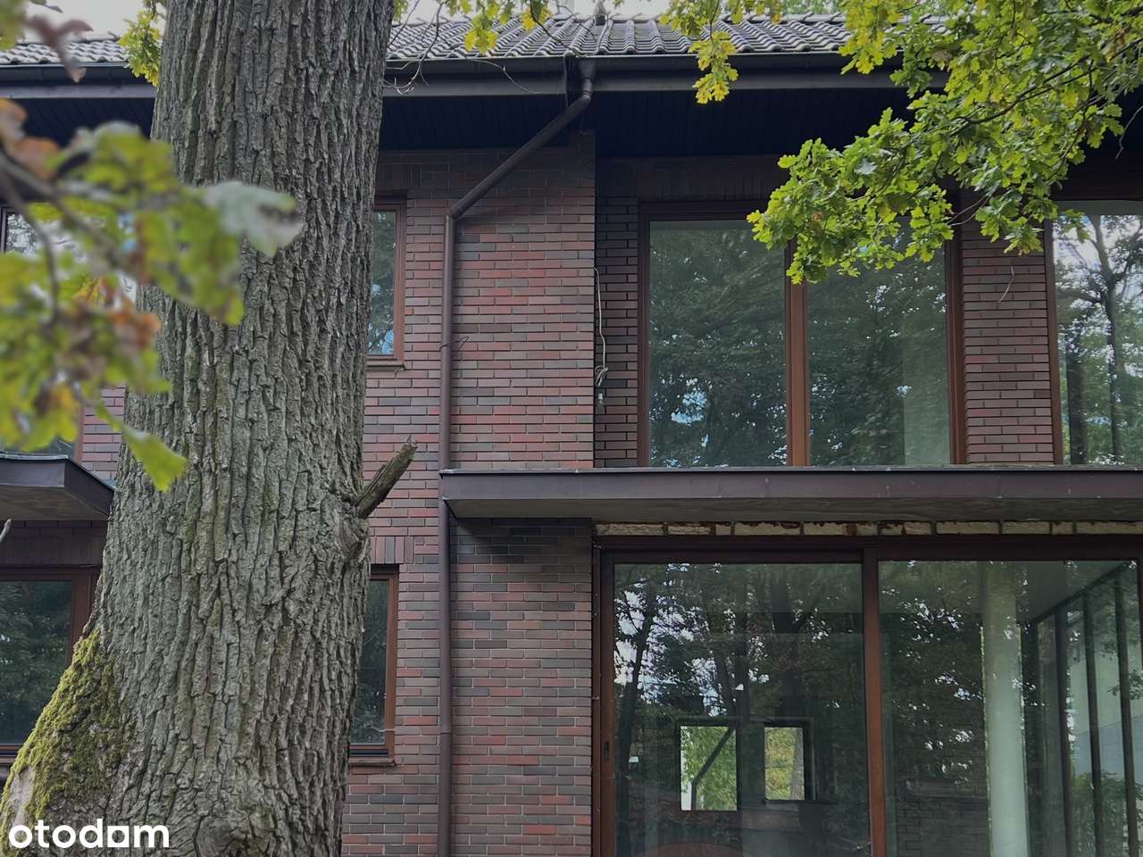 Dom | anin | zielono | cisza | basen | starodrzew | premium | Wawer-1