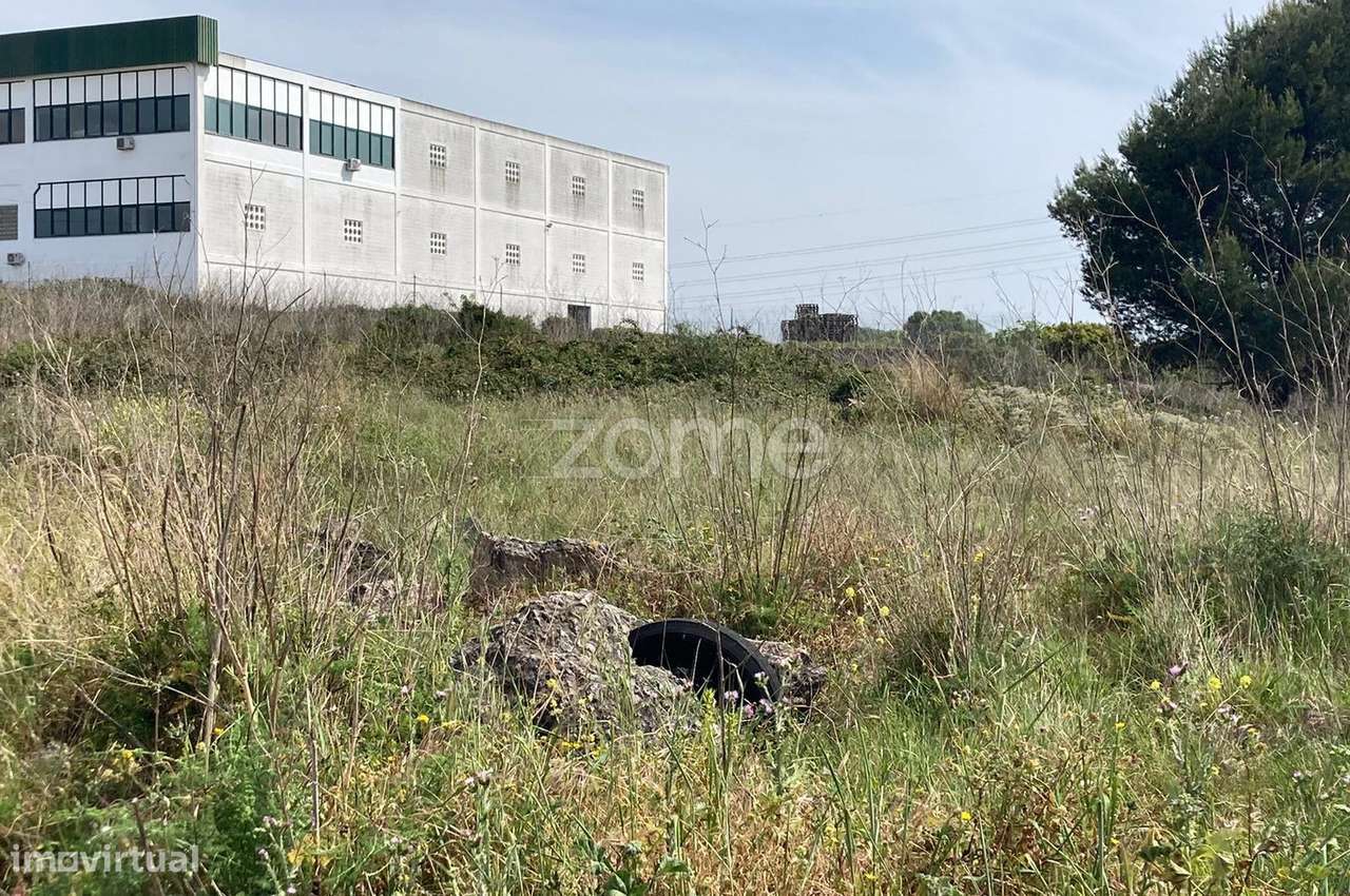 Terreno Industrial Cabra Figa - Grande imagem: 3/18