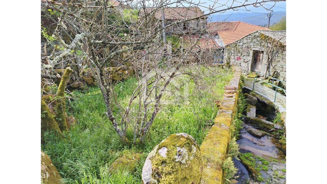 Oportunidade Única em Farves, Vouzela!-32