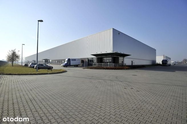 Hala Magazynowa 50 000,00 m² Sprzedaż