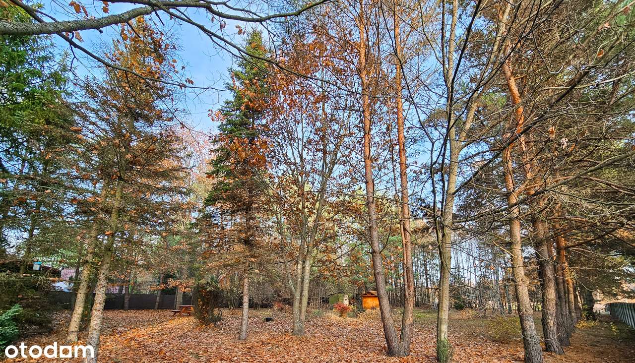 DZIAŁKA BUDOWLANA+LAS |6228 m² | MEDIA W DRODZE | ZALEW PORAJSKI - 3km-6