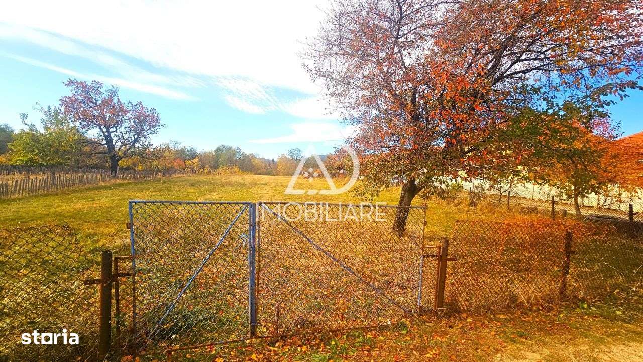 Teren de vânzare in Crasna Gorj Comision 0% - Imagine principală: 3/6