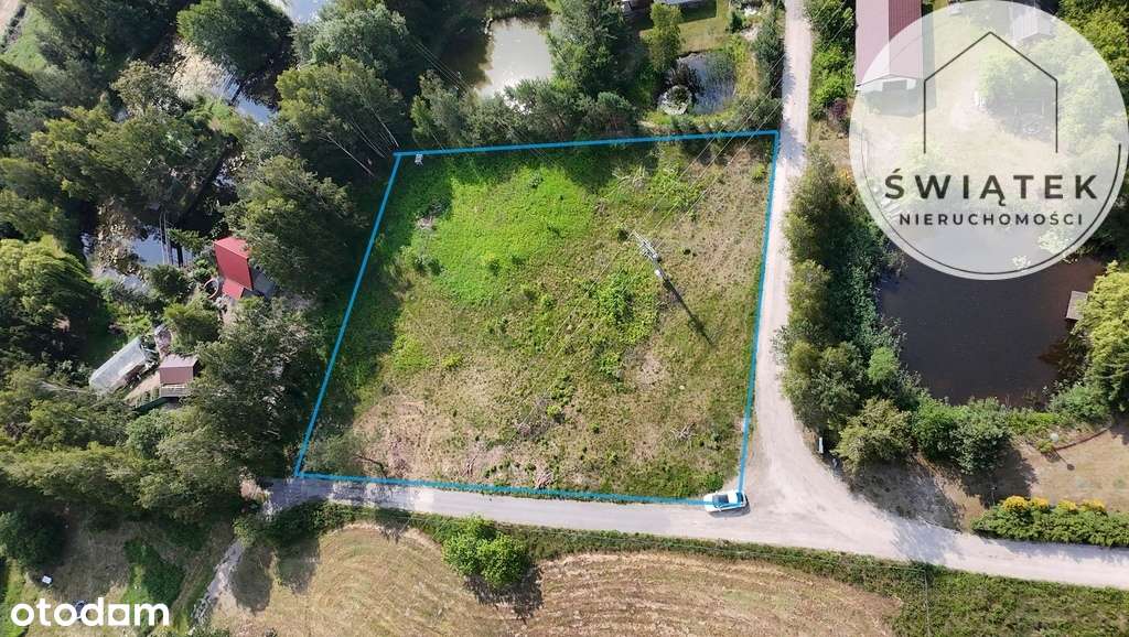 Piękna Działka w otoczeniu lasów Grabowiec - Pełny obrazek: 2/6