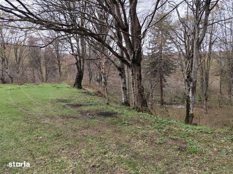 Vand teren pe Valea Avrigului - Imagine principală: 5/8