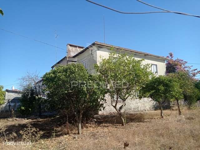 Casa Apalaçada, Avis - Grande imagem: 5/26