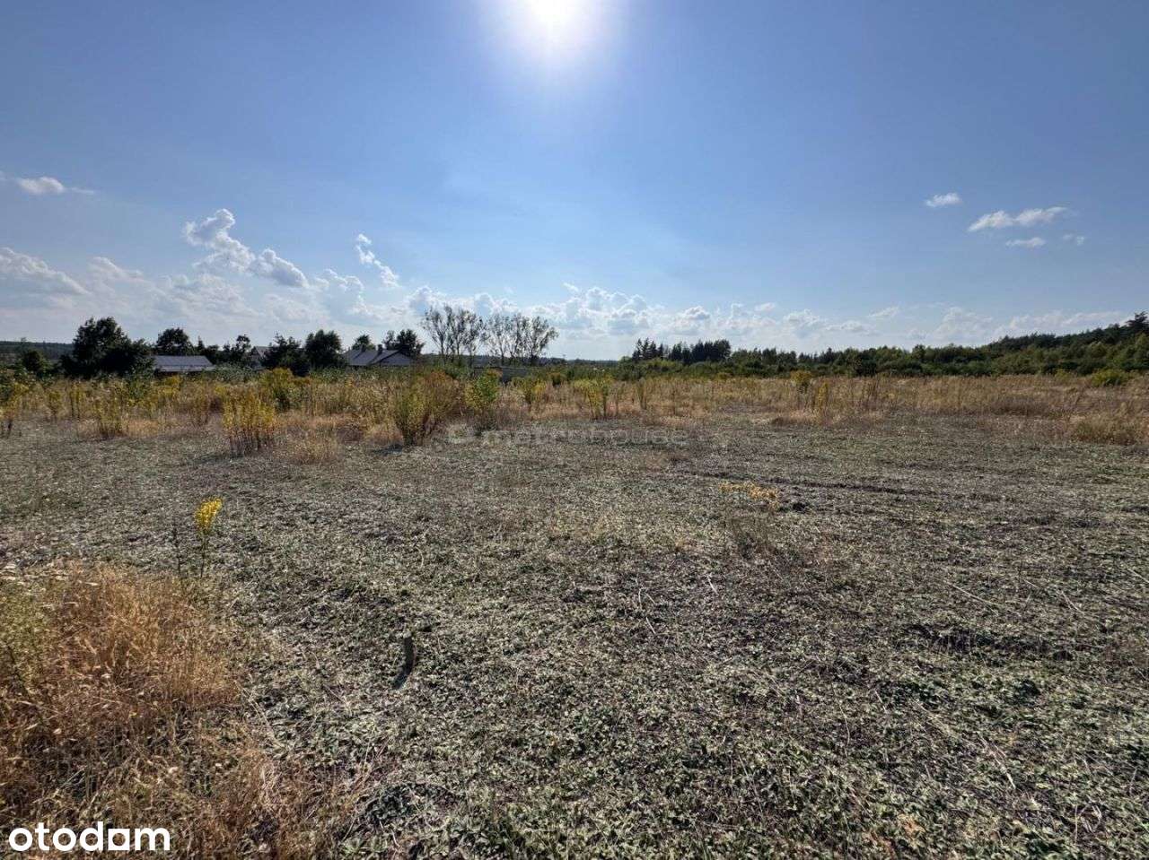 Działka budowlana w Serocku - Pełny obrazek: 4/7