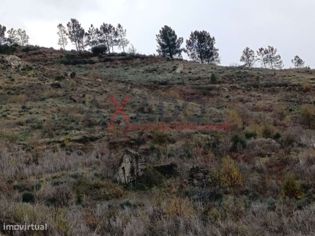 Quinta rústica com ruína em pedra. - Grande imagem: 2/6