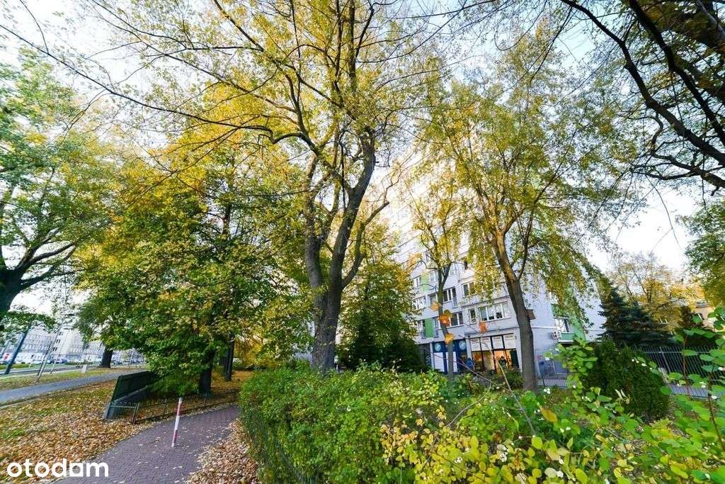 2 pokoje z duszą i pięknym widokiem na zieleń-4