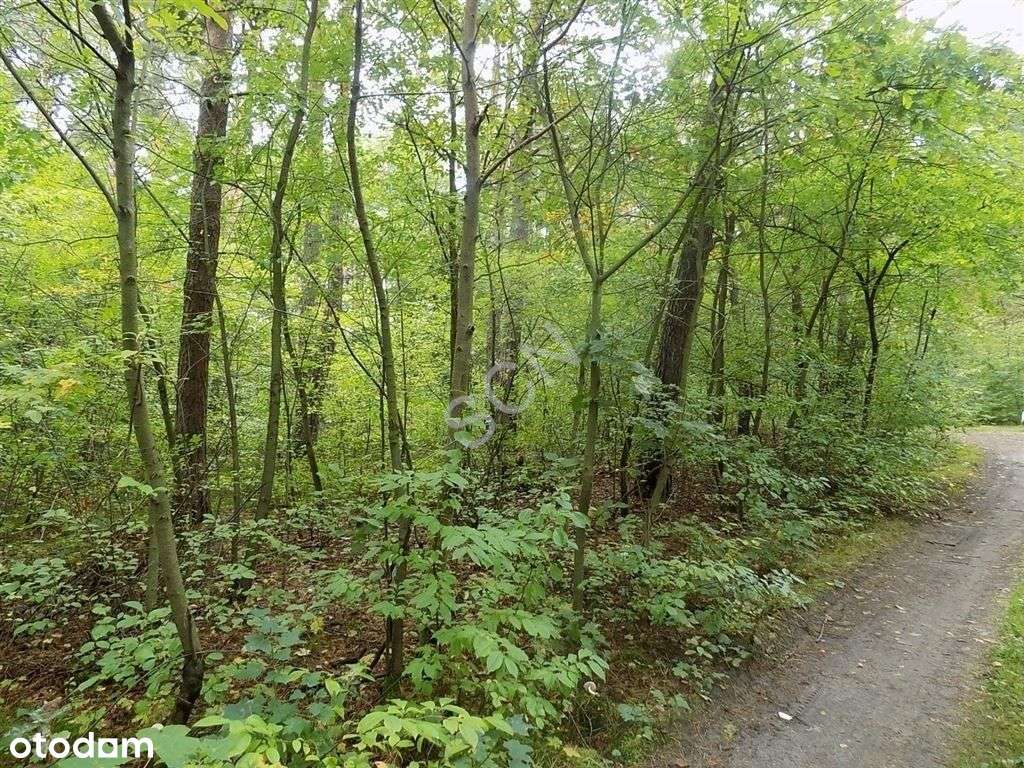 Niezwykłe Miejsce - Oaza ciszy i spokoju-4