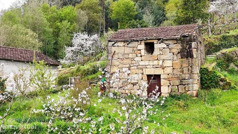 Quintinha / Cinfães, Santiago de Piães - Grande imagem: 4/17