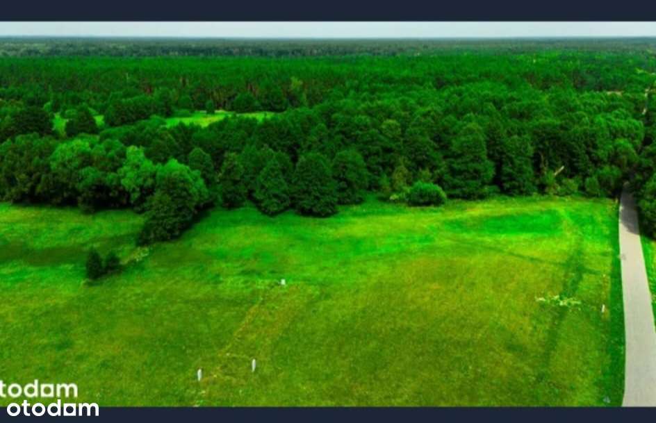 Działka budowlana z wydanymi  Warunkami Zabudowy - Pełny obrazek: 4/8