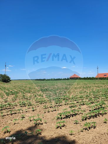Teren intravilan 30,800mp Ciolpani, f.s 105 ml. Comision 0%-2