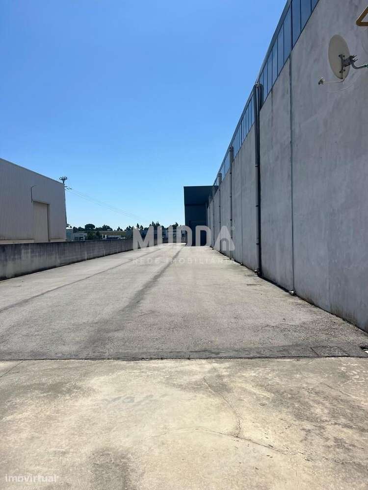 Excelente armazém para arrendar na zona industrial de Oiã - Grande imagem: 5/6