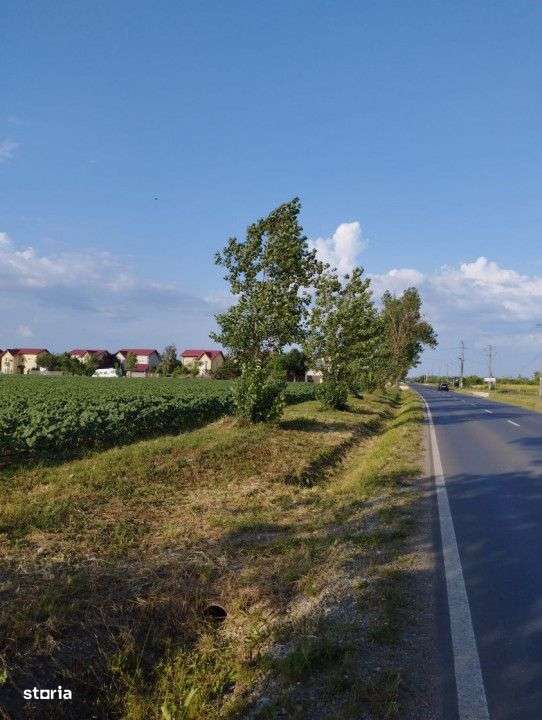 SE VINDE TEREN 5000 MP INTRAVILAN, MIXT CU DESCHIDERE LA DJ101 DE 42m - Imagine principală: 2/4