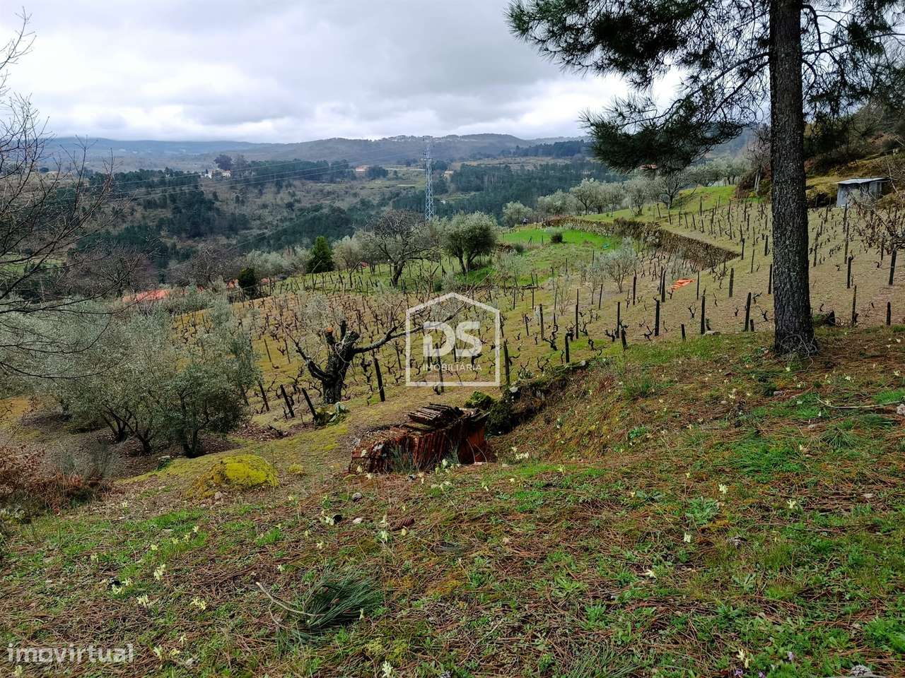 Terreno  Venda em Ferreira de Aves,Sátão - Grande imagem: 5/60