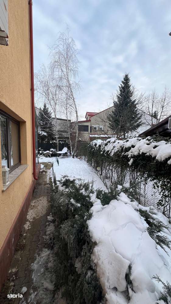 Vila Damaroaia - langa lacul Grivita-11