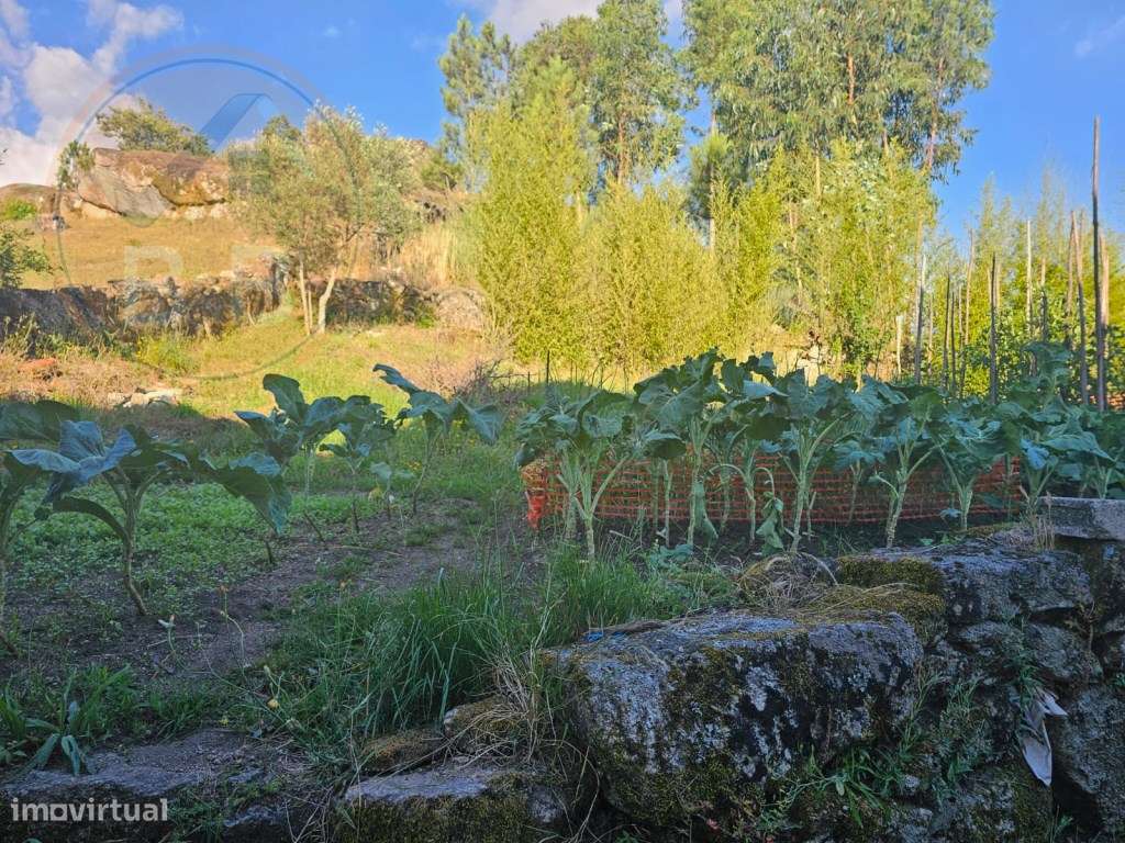 Moradia para restauro, lugar de Leiradas, Cabeceiras de Basto - Grande imagem: 4/27