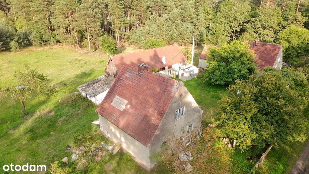 Cisza, spokój, las – nieruchomość z duszą - Pełny obrazek: 5/20