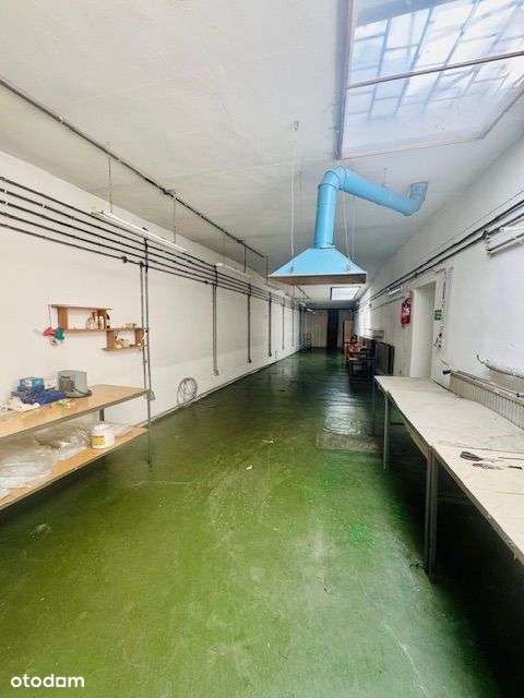 dsi-869731 - Pełny obrazek: 5/20