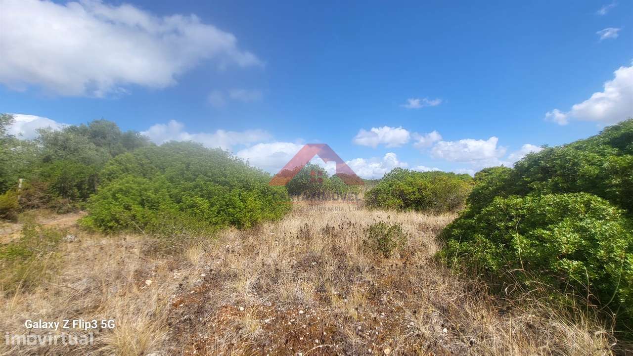 Terreno Rústico  Venda em Cartaxo e Vale da Pinta,Cartaxo - Grande imagem: 4/5