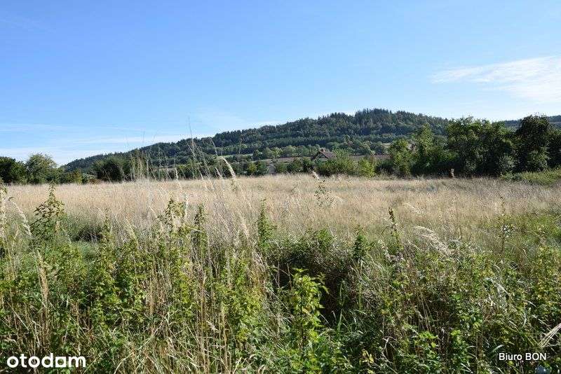 Działka 4967 m2 z możliwością budowy 4 domów - Pełny obrazek: 5/8