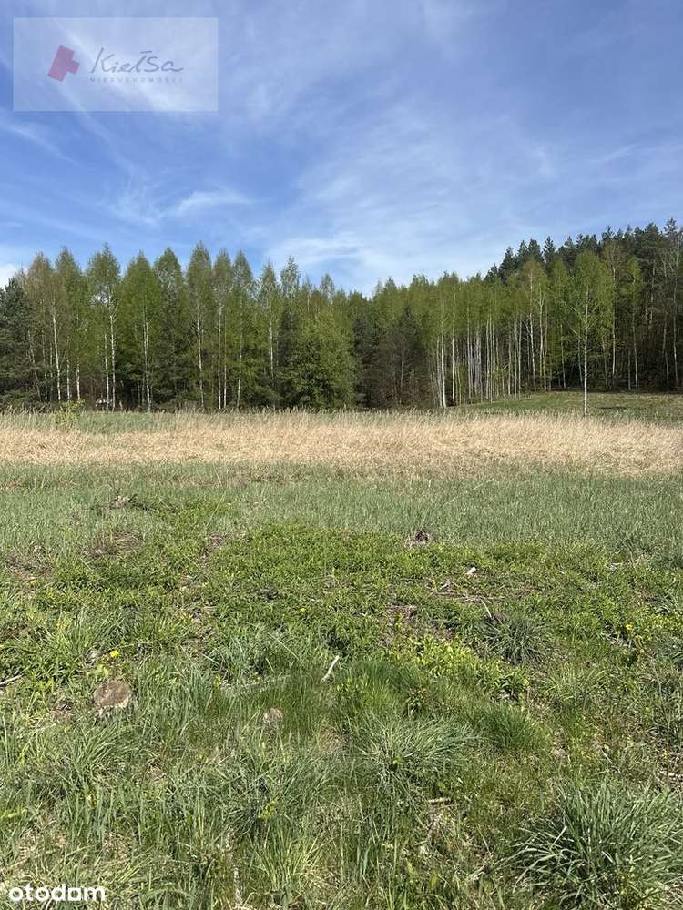 Pięknie położone działki - Rowek, gm. Szudziałowo-12