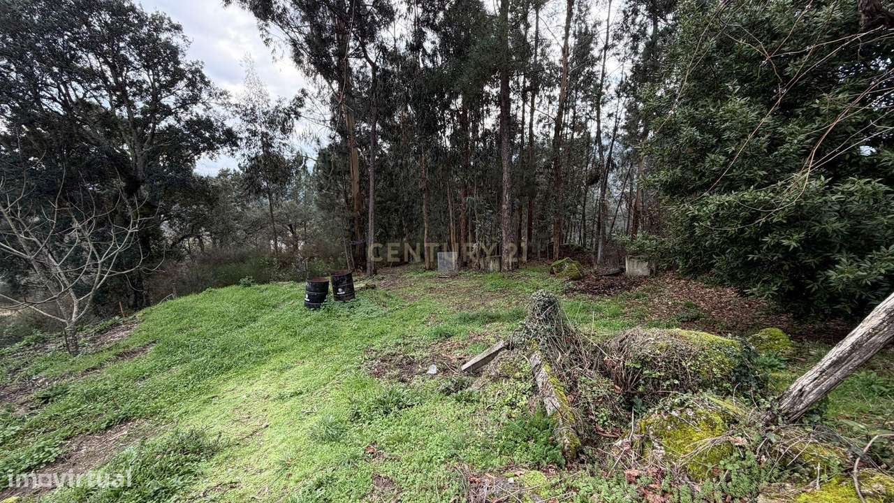 Moradia V3 - Termas de S. Vicente, Penafiel-34