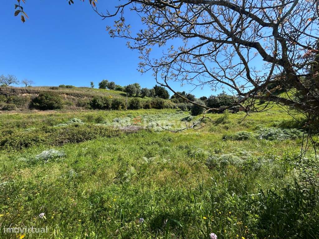 Terreno com projeto em Cem Soldos - Grande imagem: 5/23