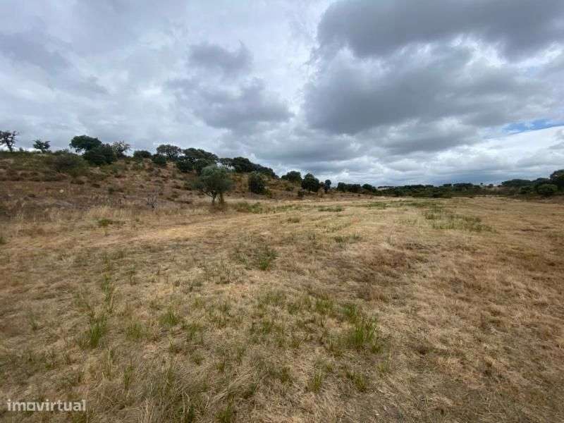 Quinta - Grande imagem: 2/16