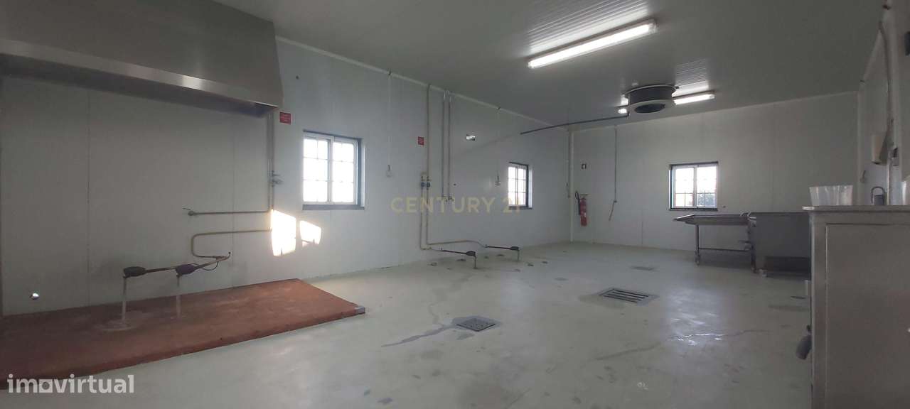 Armazém, 175 m², Serpa (Salvador e Santa Maria) - Grande imagem: 3/19