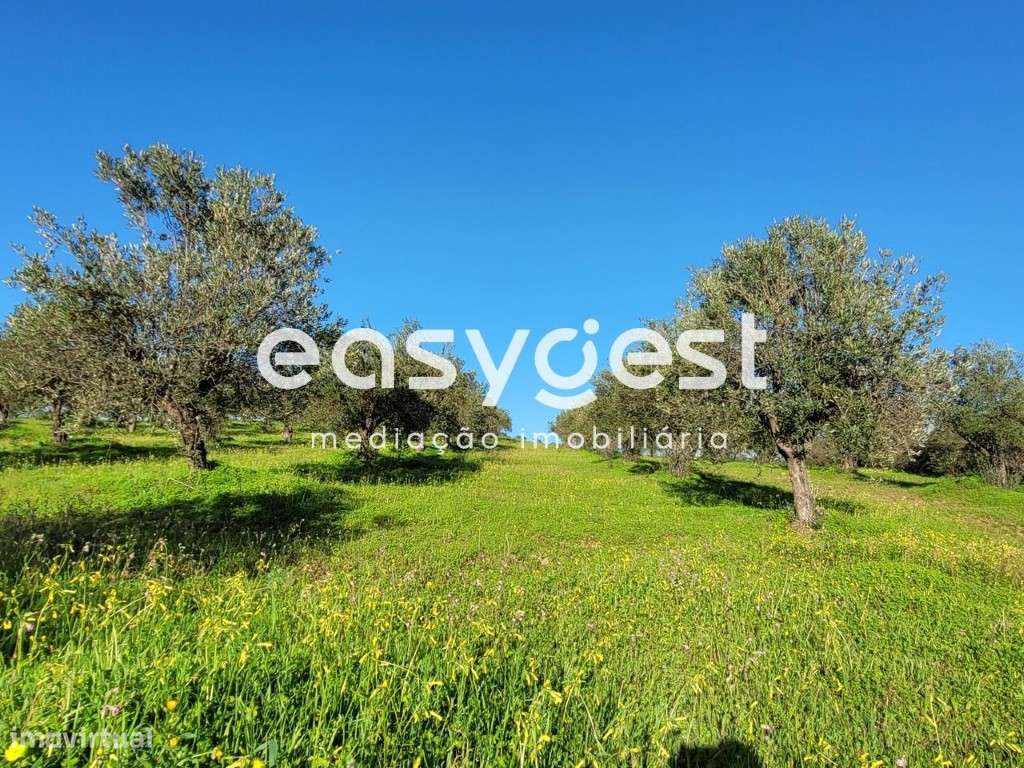 Terreno Rústico com 40.500 m2 localizado na freguesia de Selmes - Grande imagem: 2/18