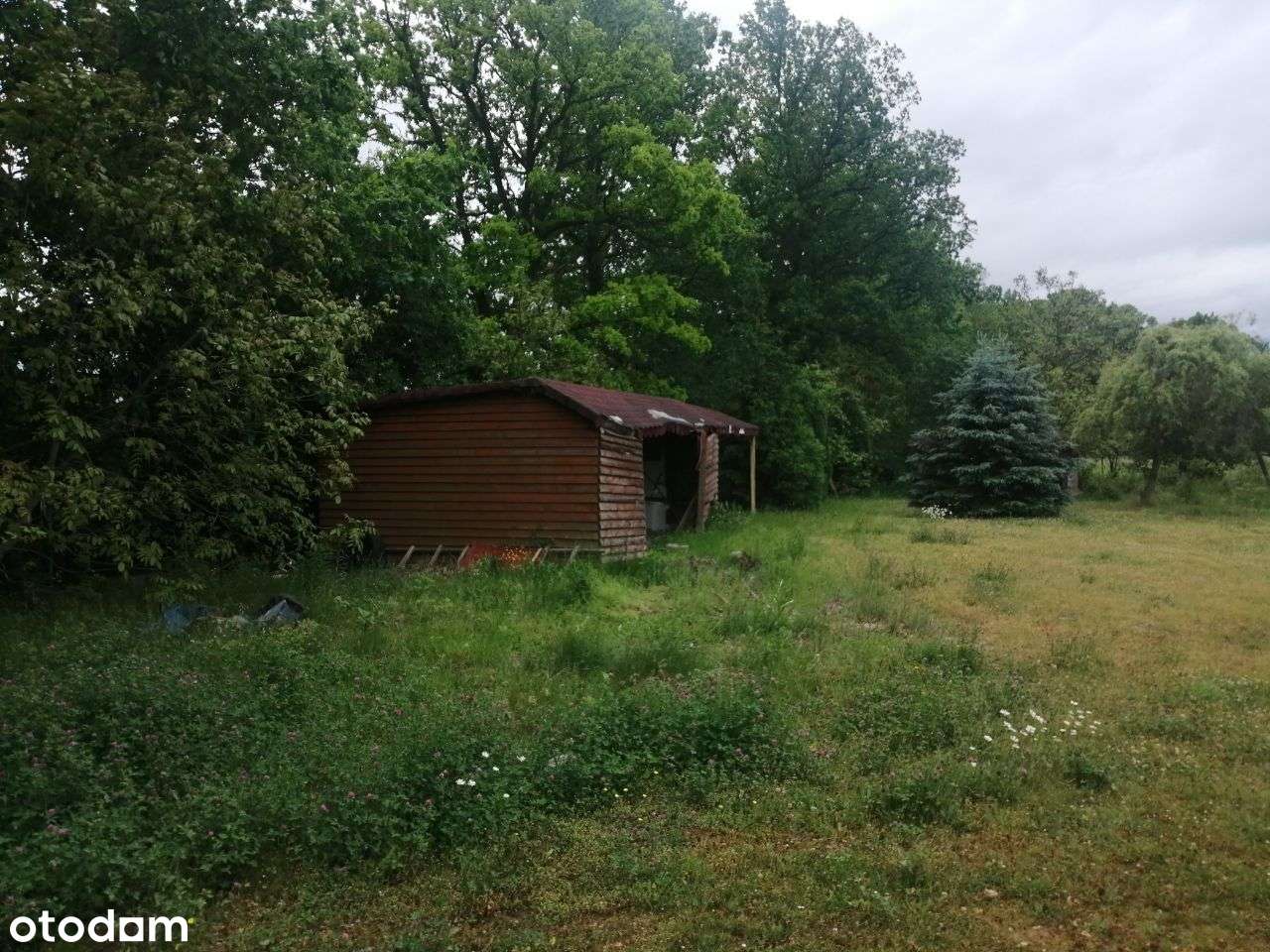 Kraśnik Dolny | Dom z dużą działką | Bezpośrednio - Pełny obrazek: 4/20