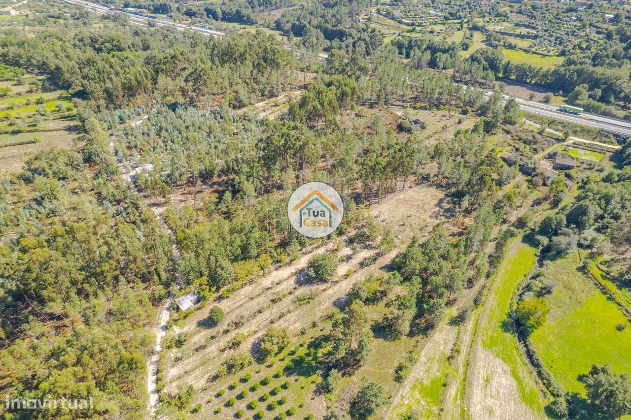 Terreno Rústico em Mangualde - Grande imagem: 4/18