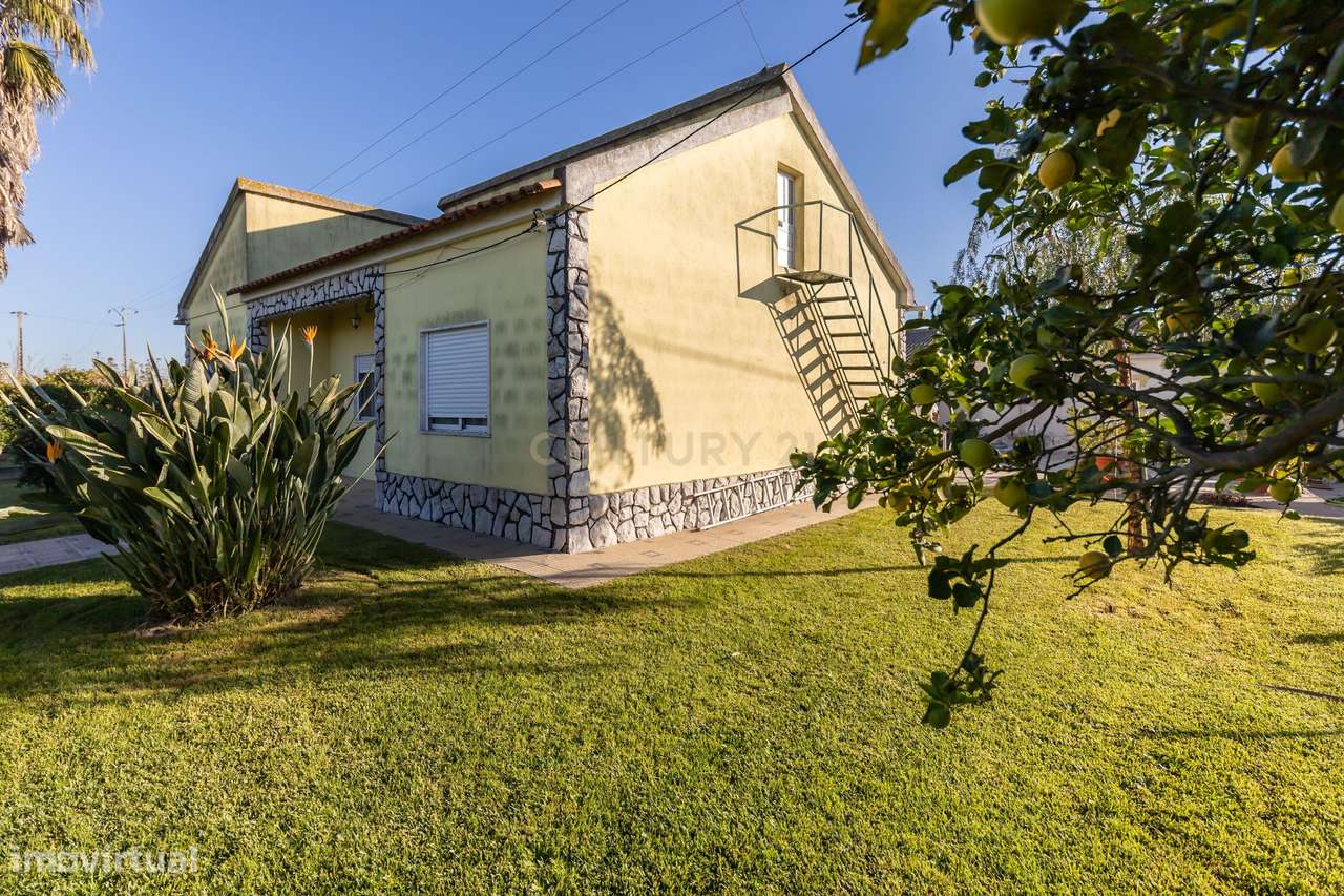 Quinta T4 com 1,4 Hectares: O Refúgio Perfeito entre a Cidade e a Natu - Grande imagem: 4/31