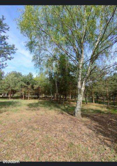 1460 m2 Piękna działka budowlana przy  Bolimowskim Parku Krajobrazowym-6