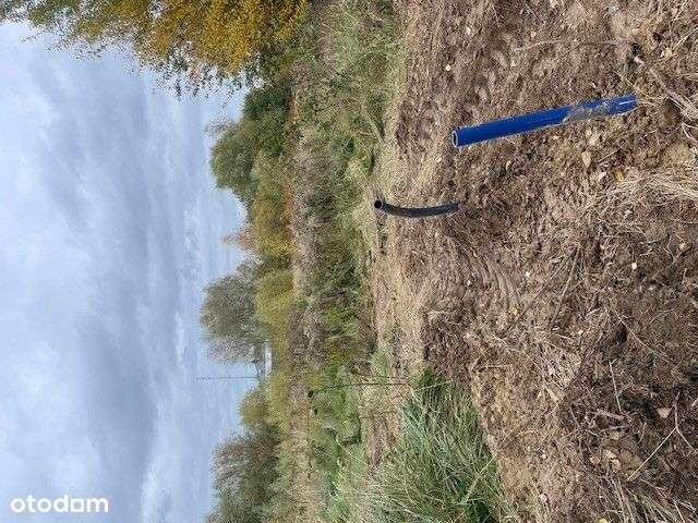 Działki Na Warszewie - Niska Cena!-2