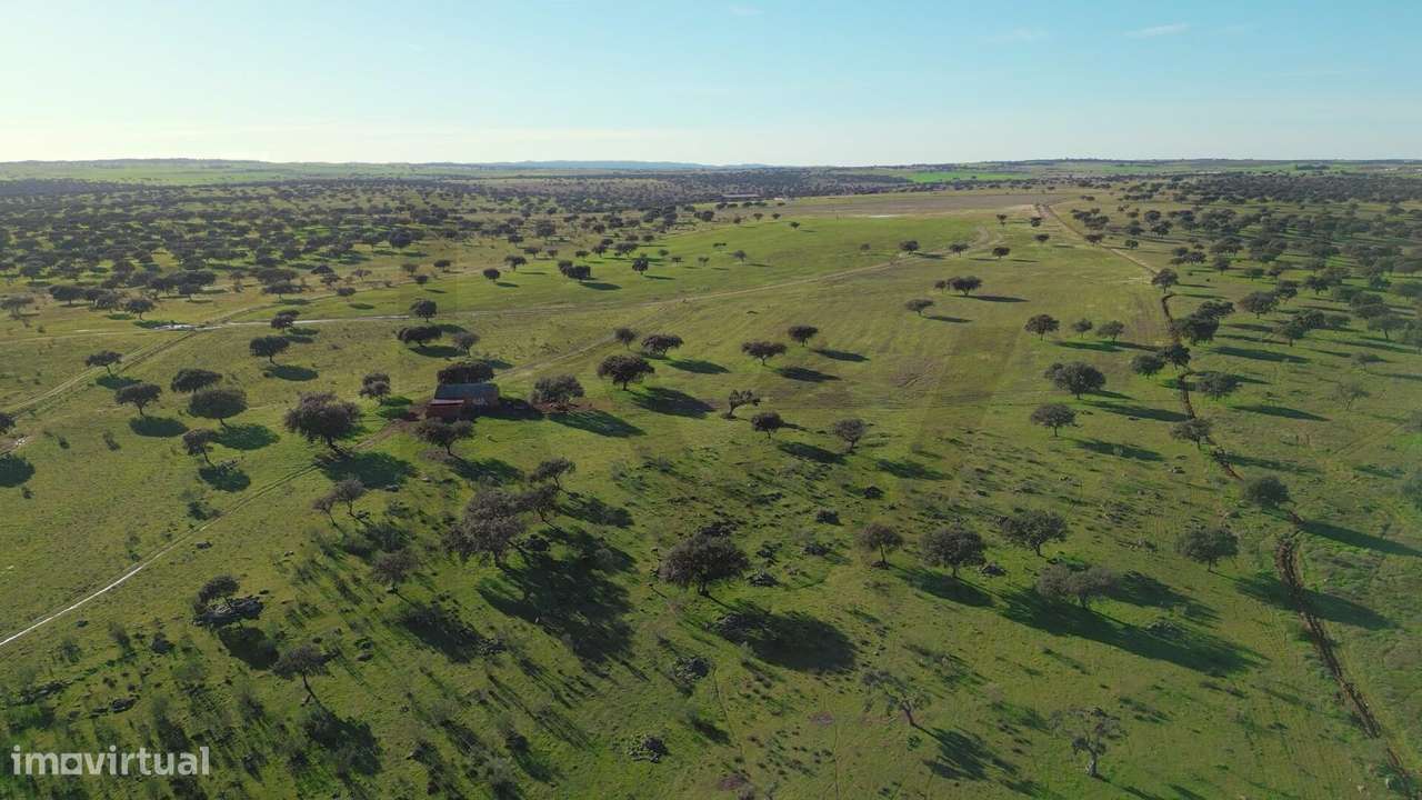 Herdade Exclusiva Junto à Barragem do Alqueva – Investimento Turístico-42