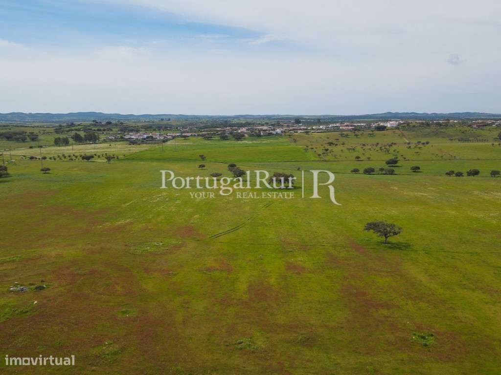 Herdade com 53ha perto do Alandroal - Grande imagem: 5/24