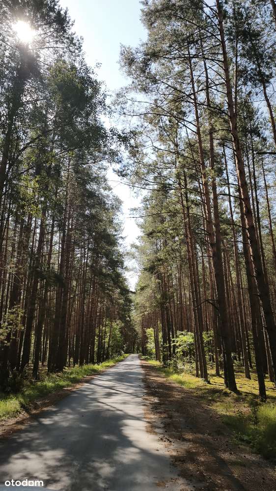 Wyjątkowe siedlisko Dom/185 m² Działka 8500 m Otulina Spalskiego Parku-3